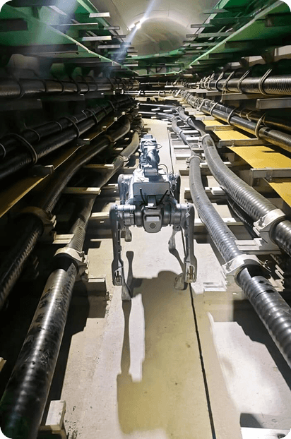 Single Industry
