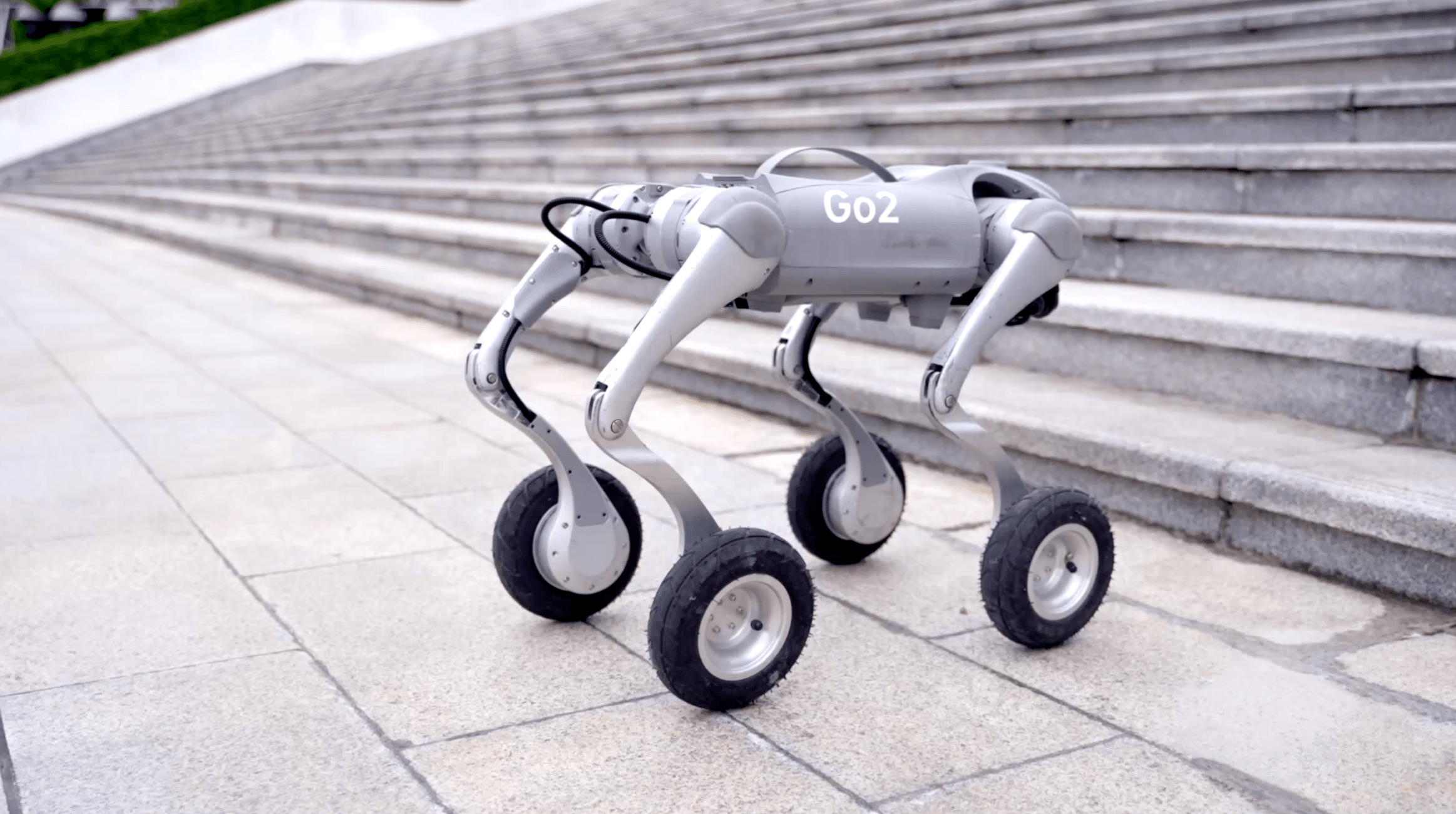 Go 2 Robot